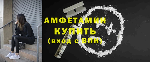 эйфоретик Гусь-Хрустальный
