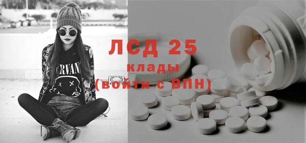 эйфоретик Гусь-Хрустальный