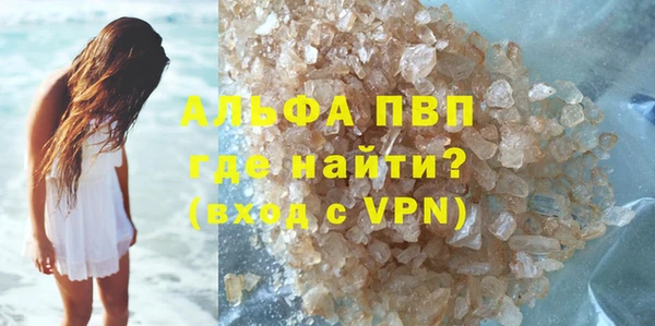 эйфоретик Гусь-Хрустальный