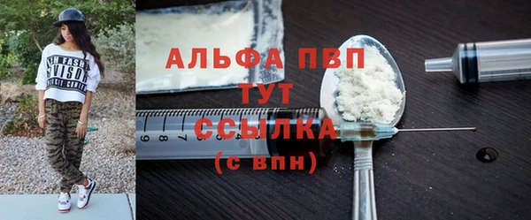 эйфоретик Гусь-Хрустальный
