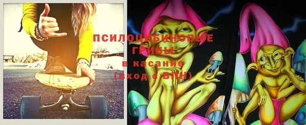 мдпв Гусиноозёрск